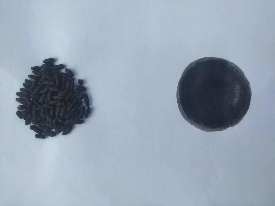 A heap of charred black seeds beside a deep black swatch.